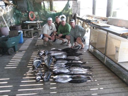 Tunas 2